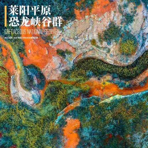 山东发现大宝贝，太大了！| 地球知识局