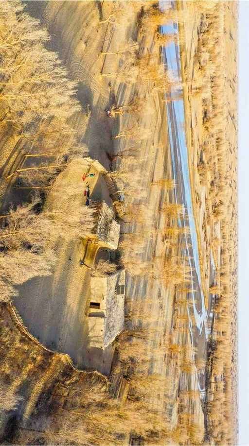 新疆深处，搞了一场特殊的大移民 | 地球知识局