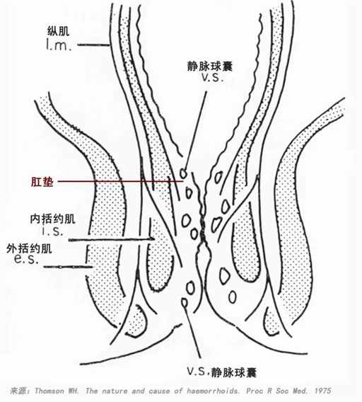 中国哪个省，痔疮比例最高? | 地球知识局
