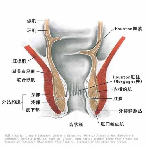 中国哪个省，痔疮比例最高? | 地球知识局