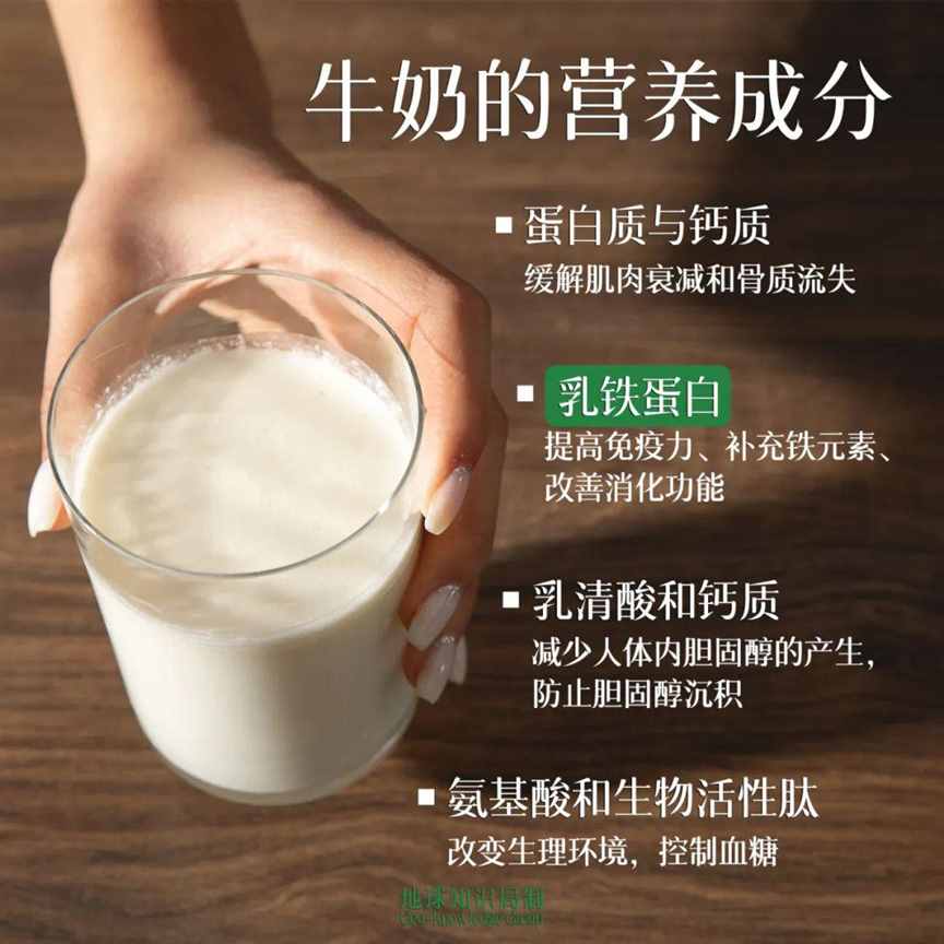 中国现在，非常缺奶 | 地球知识局