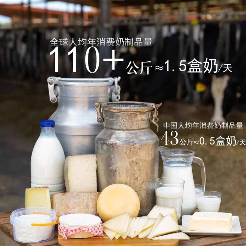 中国现在，非常缺奶 | 地球知识局