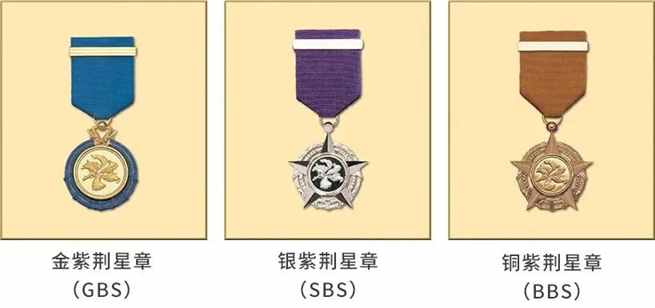 502人获港府授勋颁奖！“大紫荆勋贤”“太平绅士”“爵士”，这些都是什么意思？
