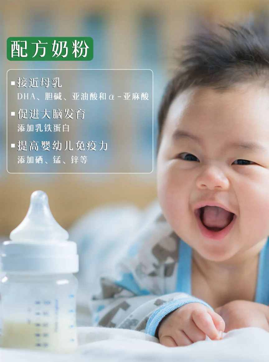 中国现在，非常缺奶 | 地球知识局