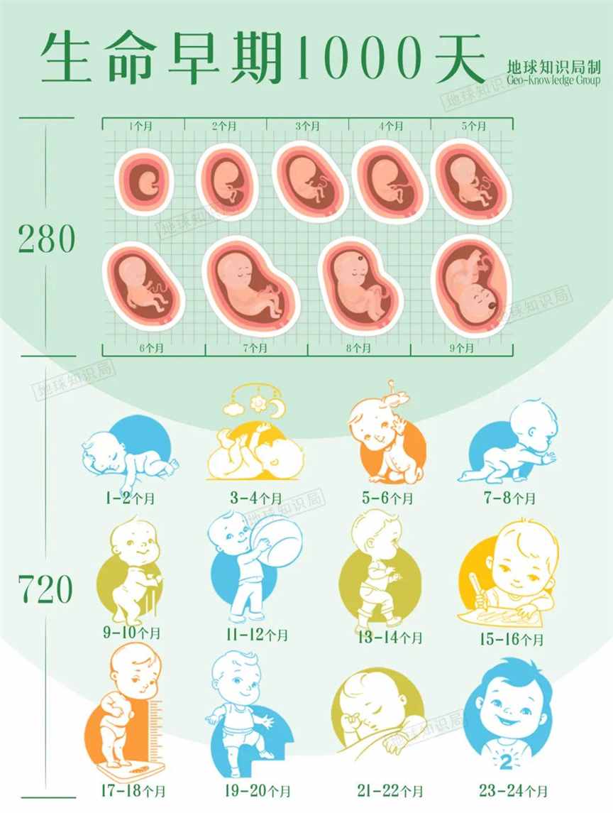 中国现在，非常缺奶 | 地球知识局