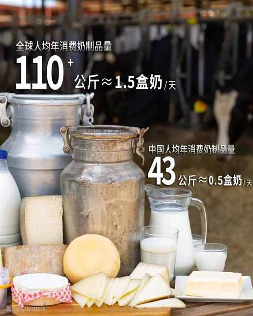 内蒙古，正在攻克一项世界难题 | 地球知识局