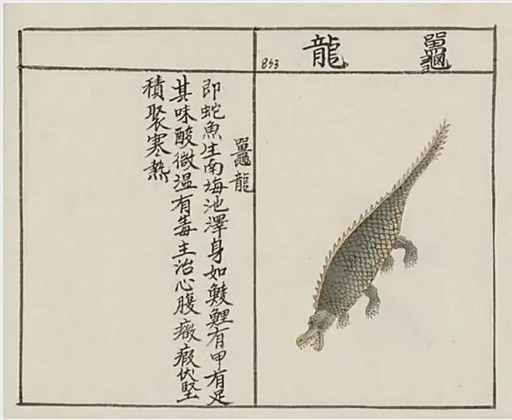 被神化的吞人恶兽