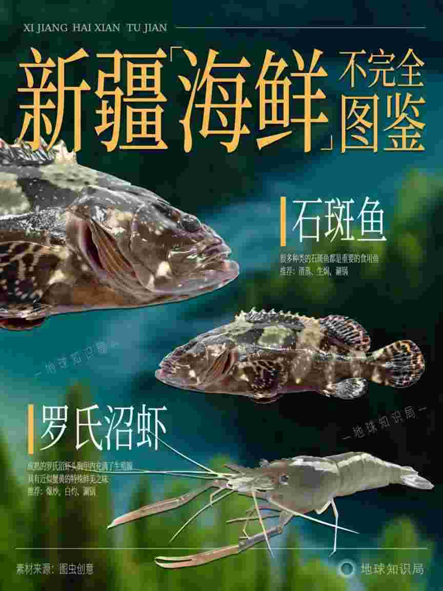 新疆，对外输出海鲜？！