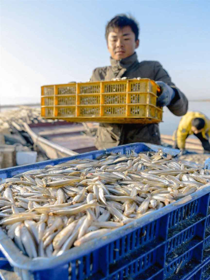 新疆，对外输出海鲜？！