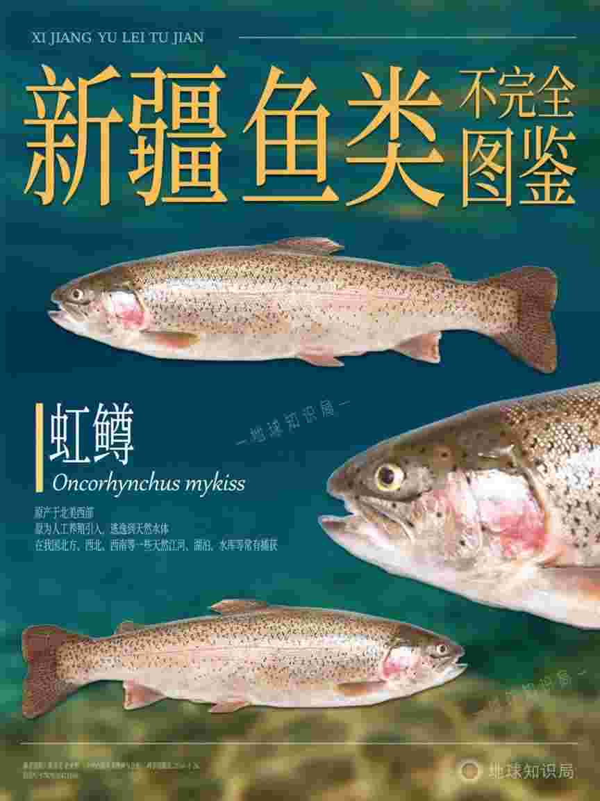 新疆，对外输出海鲜？！