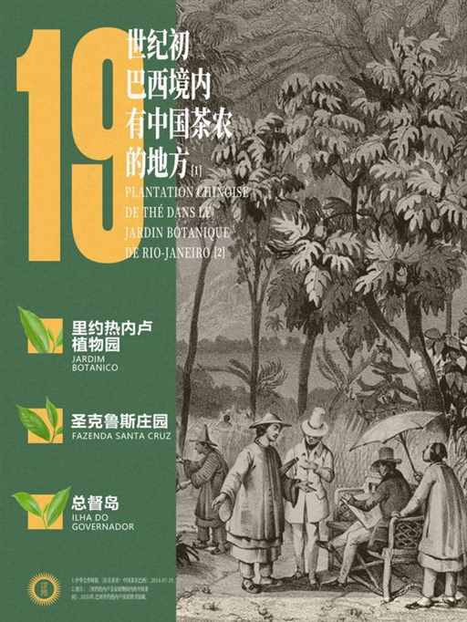 巴西，中国人的快乐福地 | 地球知识局