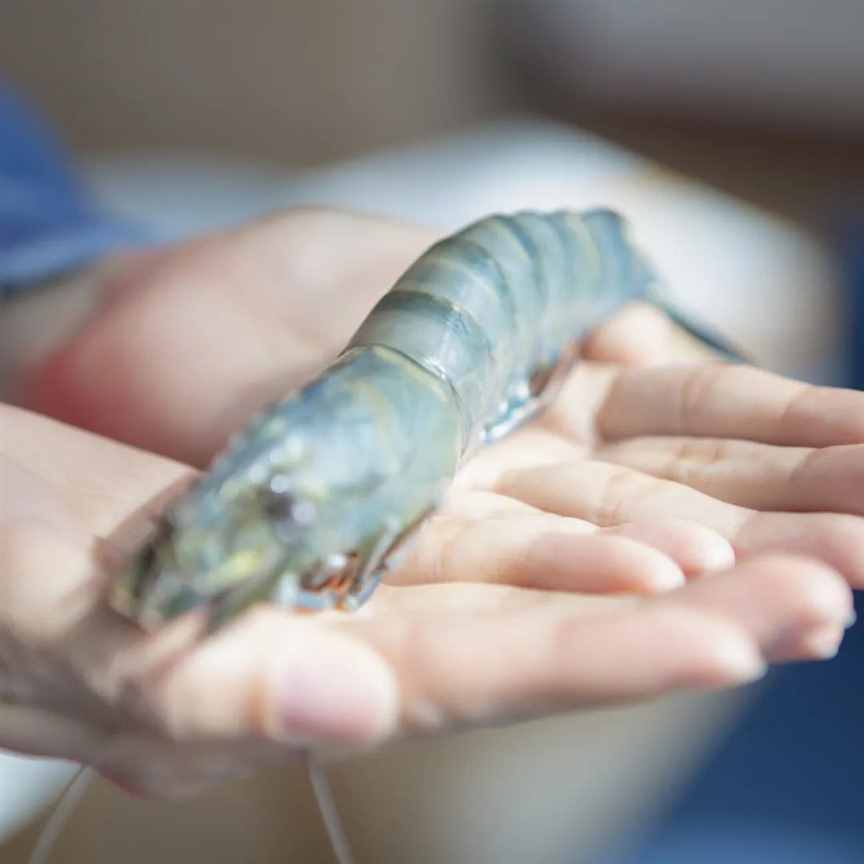 新疆，对外输出海鲜？！