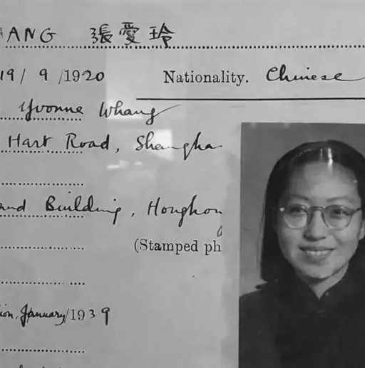 天才少女一夜封神，1995年孤独死去