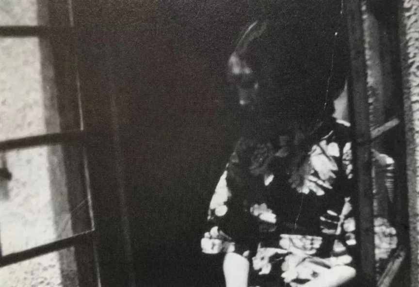 天才少女一夜封神，1995年孤独死去