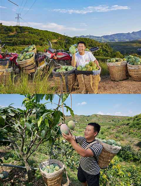 攀枝花模式，太特殊了！| 地球知识局