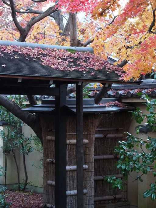 日本这里，下个月要发生一件大事！| 地球知识局