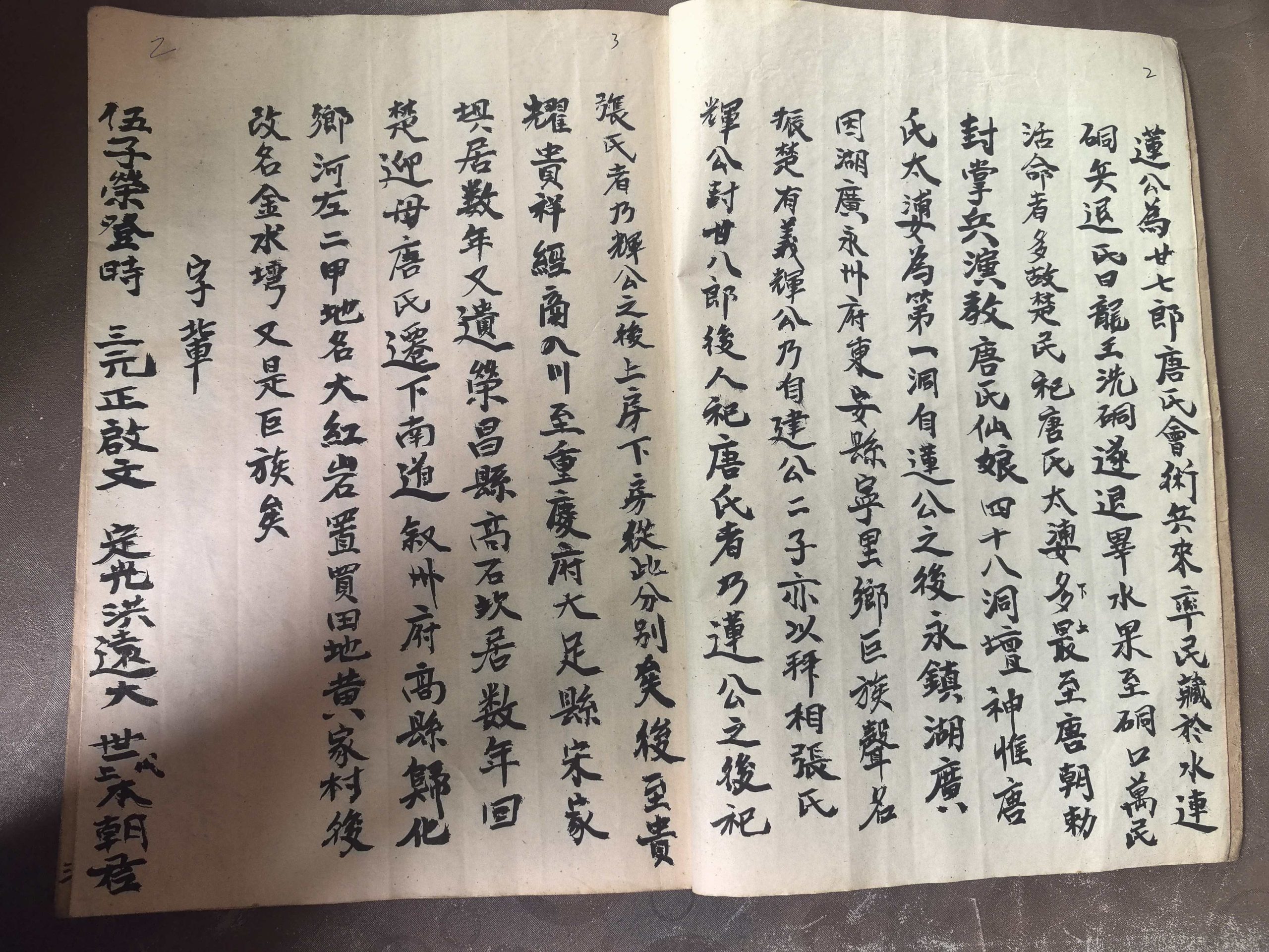 祎川堂陈氏家谱·卷之七 世变纪略